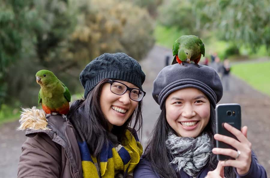 Melbourne to Adelaide: 3-Day Great Ocean Road Grampians Tour - Should you book this Melbourne to Adelaide Great Ocean Road and Grampians tour?