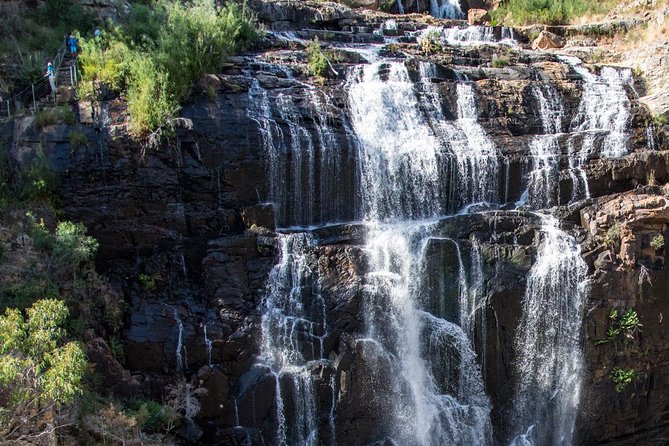 Melbourne to Adelaide: 3-Day Great Ocean Road Grampians Tour - Price and logistics: is $633 worth it from Melbourne to Adelaide?