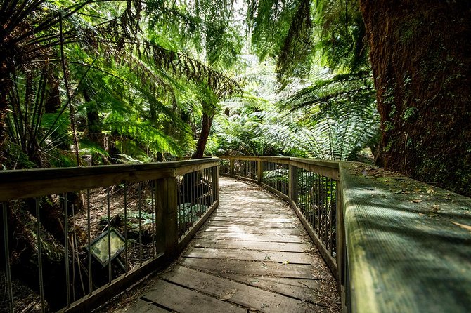 Melbourne to Adelaide: 3-Day Great Ocean Road Grampians Tour - Day 2: Tower Hill Conservation Reserve, Pinnacle lookout hike, and Halls Gap BBQ
