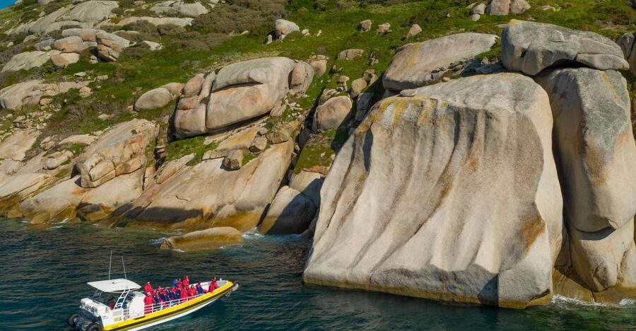 Melbourne: Wilsons Promontory Morning Wilderness Cruise - Wildlife in motion: seals, dolphins, and whales when the sea cooperates