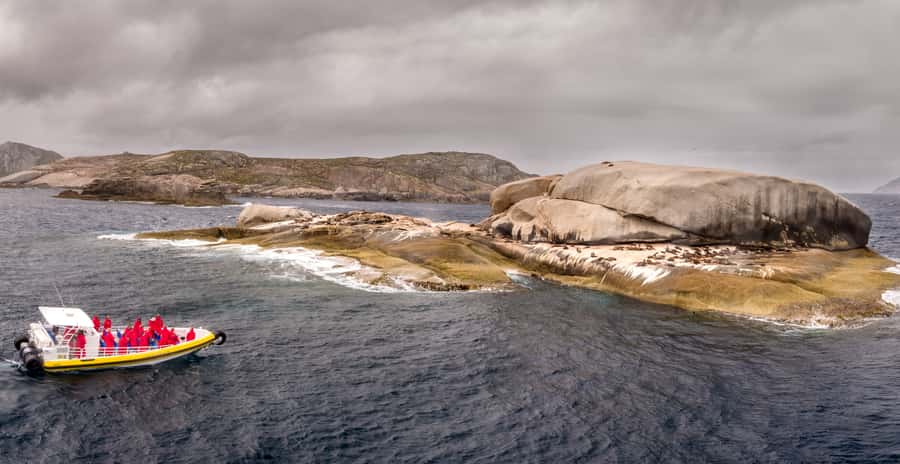 Melbourne: Wilsons Promontory Morning Wilderness Cruise - Guides like Damo, Nash, Matt, Gareth, and Dave, and why that changes the feel