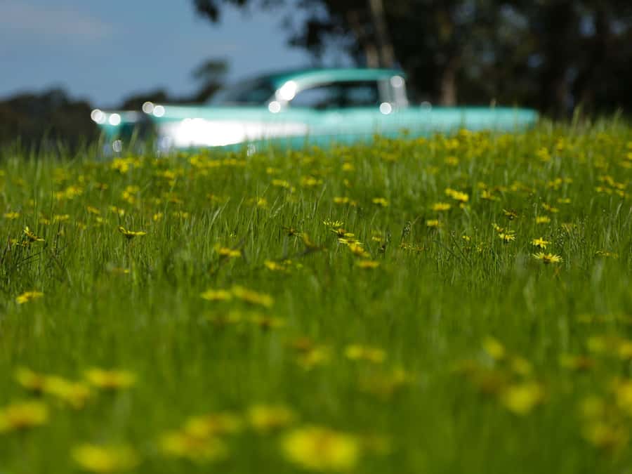Melbourne: Yarra Valley Food & Wine Tour in a '56 Chevrolet - Healesville lunch and produce stops: the food side is real