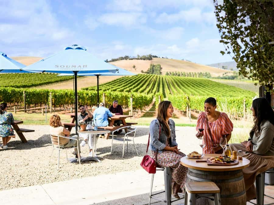 Melbourne: Yarra Valley Half-Day Wine Tour - Payten and Jones in Healesville: creative small-batch winemaking