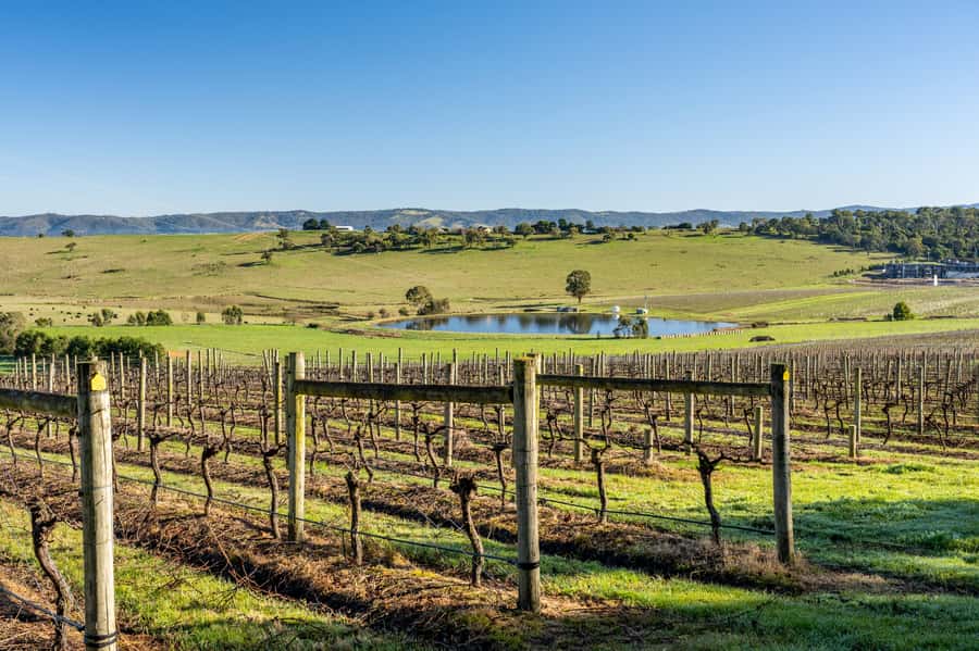 Melbourne: Yarra Valley Wine, Cider, Gin, Beer, & Choc Tour - Getting there from Melbourne: the 74 Spring Street timing that matters