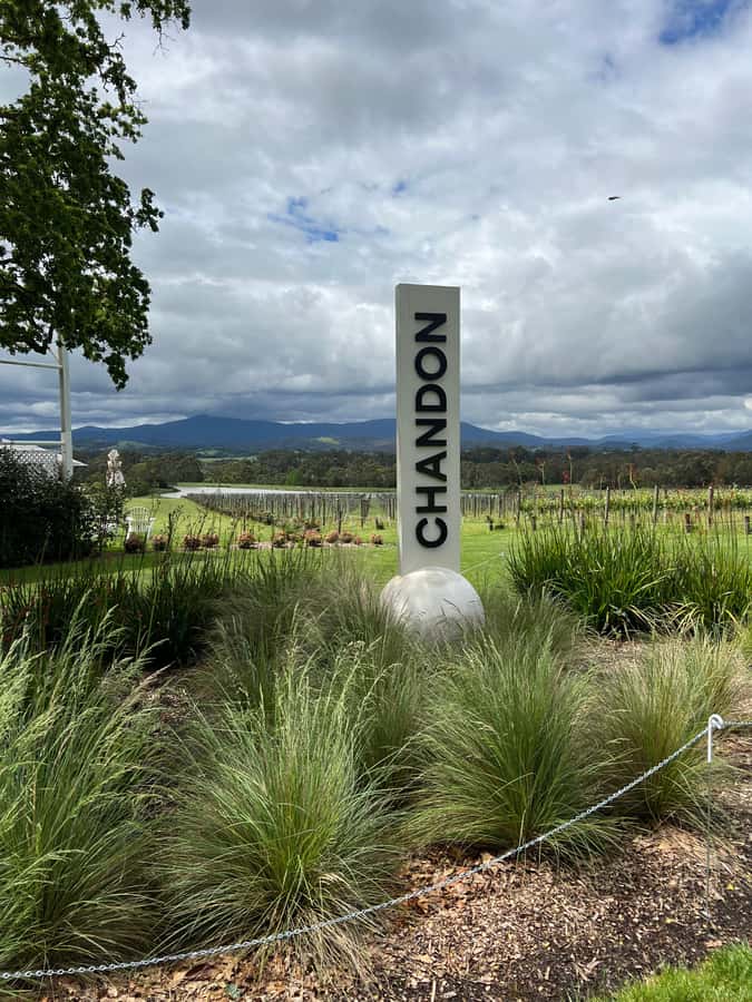 Melbourne: Yarra Valley Wineries Private Day Tour - Pickup, Vehicle Size, and What Private Really Means