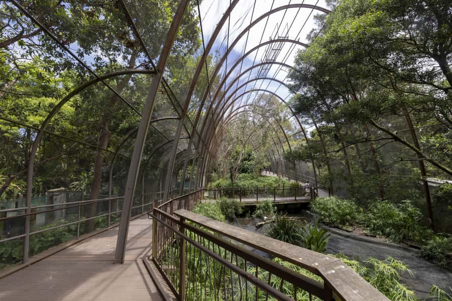 Melbourne Zoo: Australian Wildlife Experience Ticket - Price and Value: Is $65 Worth a 45 Minute Tour?