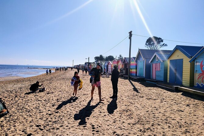 Moonlit Sanctuary and Brighton Beach Boxes Half Day Tour - Best For Who, And Not So Best For Who