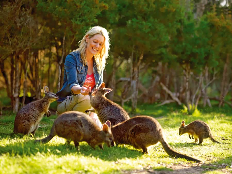 Moonlit Sanctuary Conservation Park Entry Ticket - Key highlights at Moonlit Sanctuary