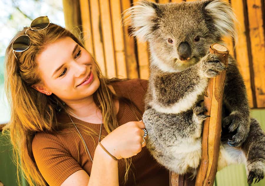 Moonlit Sanctuary Conservation Park Entry Ticket - Keeper talks and wildlife shows, the best way to watch without missing anything
