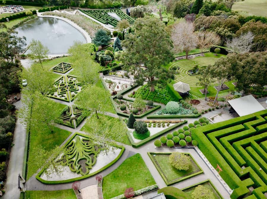 Mornington Peninsula: Enchanted Adventure General Admission - Where the Fun Starts: Ticketing Window and First Stops