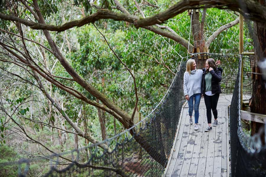 Mornington Peninsula: Enchanted Adventure General Admission - Tube Slides: 8 Options, Plus a Quick Reality Check