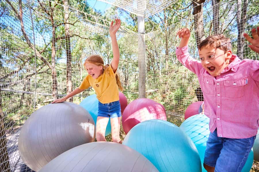 Mornington Peninsula: Enchanted Adventure General Admission - Sky Scramble and Bush Scramble: The Height Rules Matter