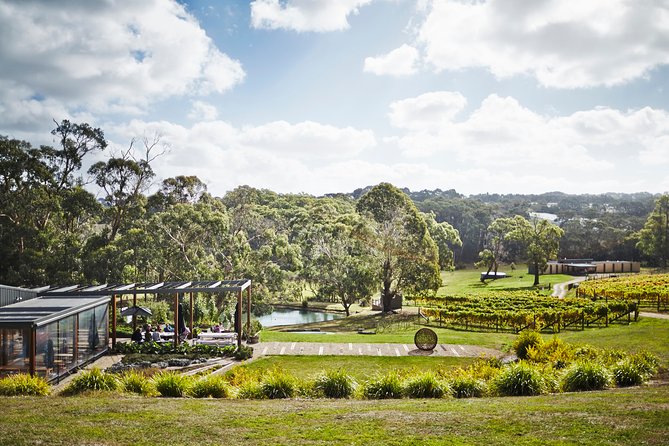 Mornington Peninsula Luxury Lunch, Wine Tasting & Pt Leo Art Walk - Montalto: premium wine tastings and a sculpture-walk option