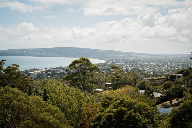 Mornington Peninsula Small Group Thermal Springs w/ Lunch & Wine - Green Olive at Red Hill: grazing lunch and a personal wine paddle