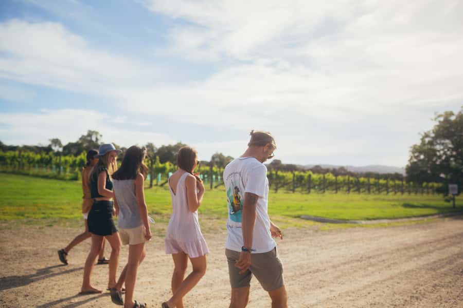 Mornington Peninsula: SUP, Hike, & Hot Springs Trip w/ Lunch - Key highlights you should know