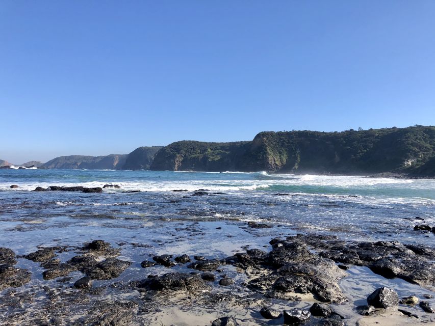 Mornington Peninsula: SUP, Hike, & Hot Springs Trip w/ Lunch - Picnic lunch with farm gate ingredients, not just a grab bag