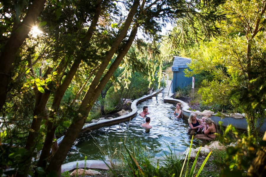 Mornington Peninsula: SUP, Hike, & Hot Springs Trip w/ Lunch - Start at McCrae Lighthouse, then go looking for dolphins