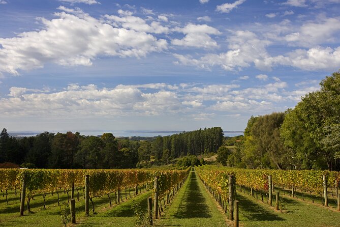 Mornington Peninsula Wine Day Tour - Why a Mornington Peninsula wine day tour fits perfectly from Melbourne