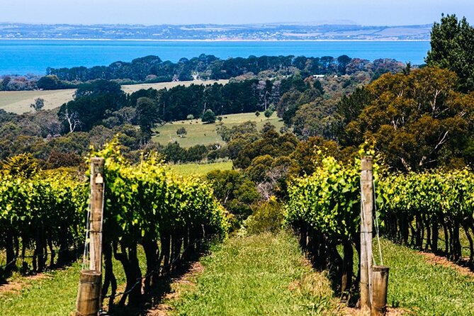 Mornington Peninsula Winery, Beer and Spirits Tour - Craft beer, spirits, and the final walkable cluster