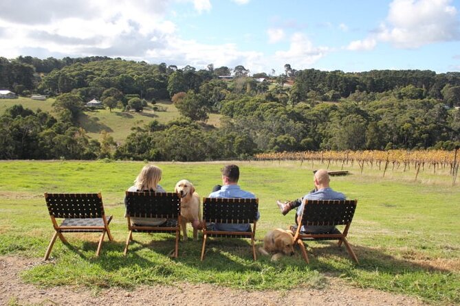 Mornington Peninsula Winery, Beer and Spirits Tour - Timing, pacing, and practical tips for an 8 to 9 hour day