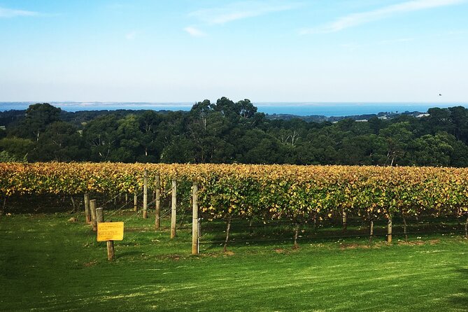 Mornington Peninsula Winery Bus Tour including lunch with a glass of wine - Included Tastings, Lunch, and Real Budget Value