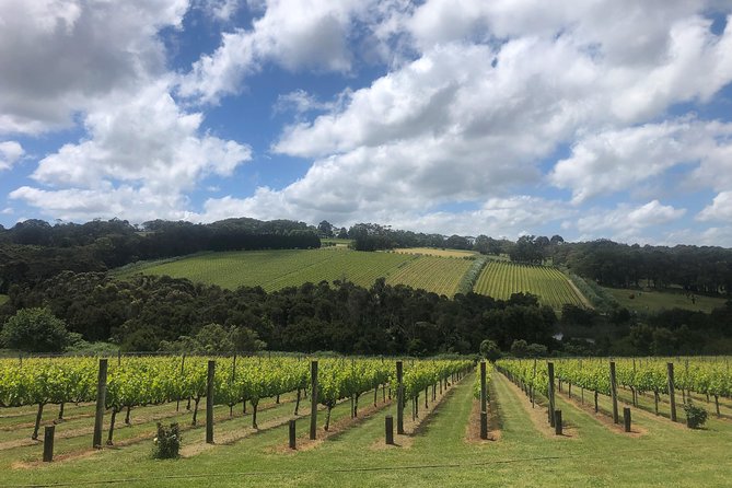 Mornington Peninsula Winery Tour - Lunch Included - Lunch, Tastings, and the Designated Driver Advantage