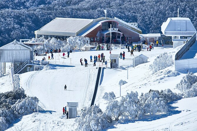 Mount Buller Sightseeing Tour - The Return Trip Back to Melbourne and Rental Turn-In Time