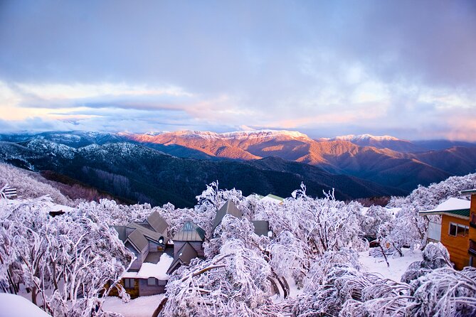Mount Buller Sightseeing Tour - Group Size, Coach Travel Style, and How Comfortable the Day Feels