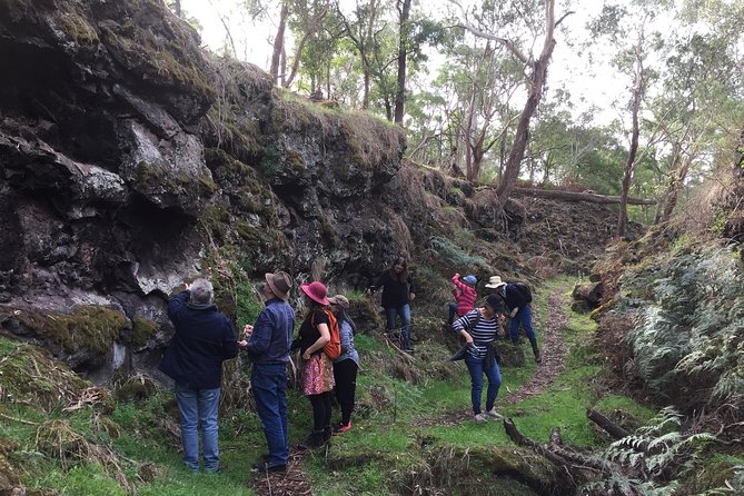 Mount Eccles Volcano – Budj Bim National Park - Key things I’d bet you’ll notice