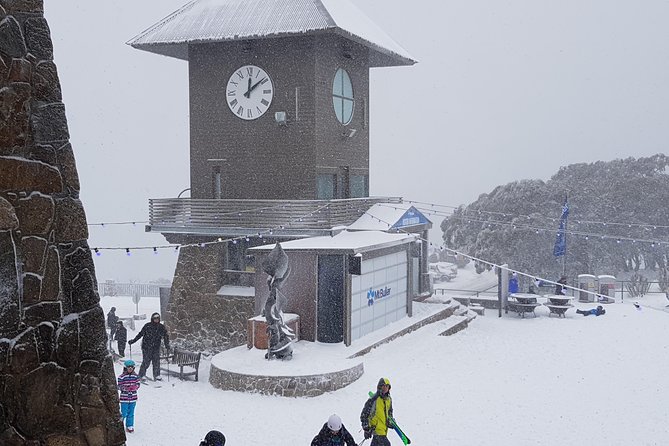Mt Buller Day Trip from Melbourne - Key highlights to know before you go