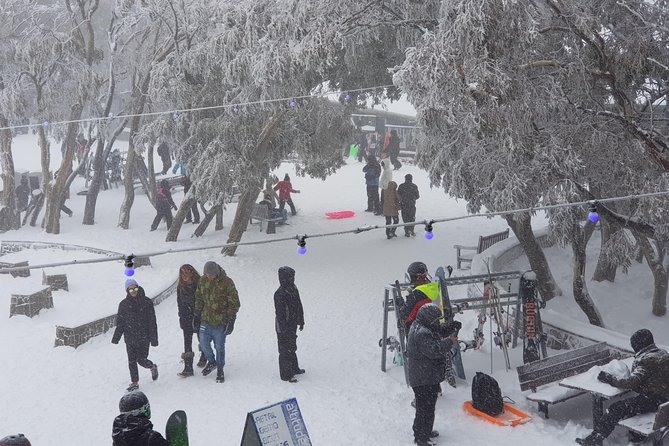 Mt Buller Day Trip from Melbourne - Transportation details that shape your comfort level