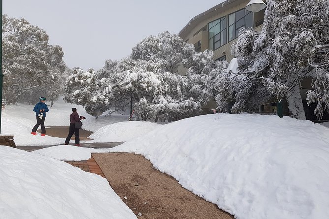 Mt Buller Day Trip from Melbourne - What’s included, what costs extra, and where your money goes