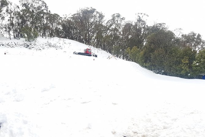 Mt Buller Day Trip from Melbourne - Who this tour suits best (and who should plan differently)