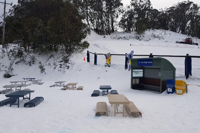 Mt Buller Day Trip from Melbourne - Should you book the Mt Buller day trip from Melbourne?