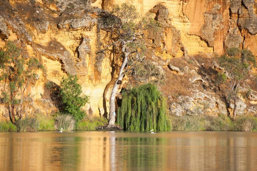 Murray River Highlights and Luncheon Cruise - Getting to the river: coach comfort and how the day starts