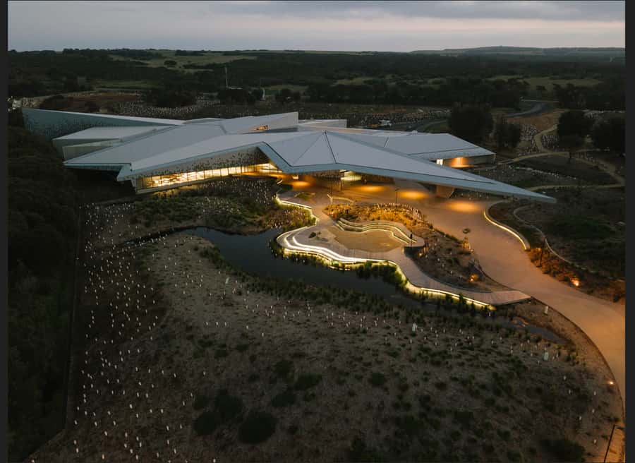 Penguin Parade: General Viewing Ticket - Timing at Phillip Island: watch for the shift to night
