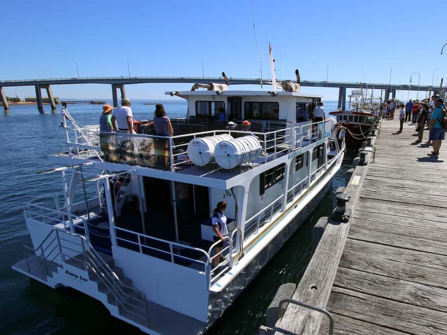 Philip Island: Dolphin and Whale Cruise - Philip Island, the coast that earns its reputation