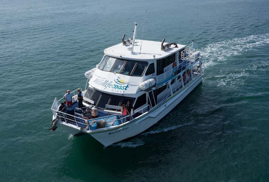 Philip Island: Dolphin and Whale Cruise - Route views at Cape Woolamai, what you’re seeing besides animals