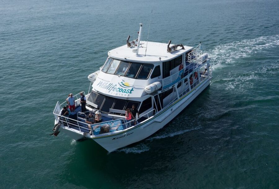 Philip Island: Dolphin and Whale Cruise - Who should book this cruise, and who might be happier elsewhere
