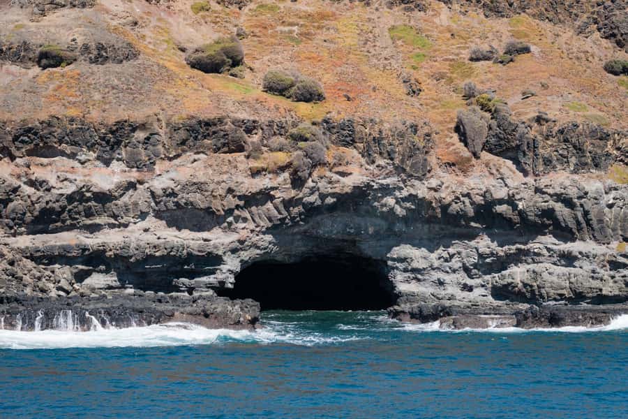 Philip Island: Seal Watching Cruise - Comfort on board: undercover warmth, snacks, and a kid-friendly setup
