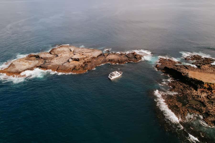Philip Island: Seal Watching Cruise - Getting the best views: positioning, smell, and photo reality