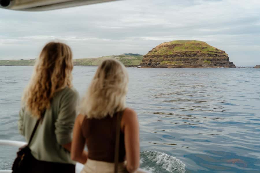 Philip Island: Seal Watching Cruise - Seal Rocks at close range: what you’ll actually see