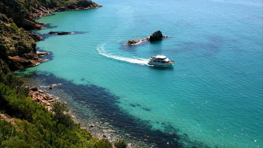 Phillip Island: 1-Hour Cape Woolamai Scenic Cruise - Key moments you should not miss