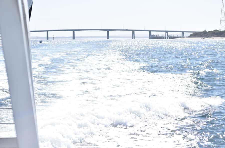 Phillip Island: 1-Hour Cape Woolamai Scenic Cruise - Who can access the front deck, and who may feel limited