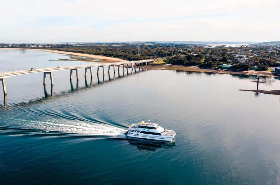 Phillip Island: 1-Hour Cape Woolamai Scenic Cruise - Price and value: why $34 feels fair here