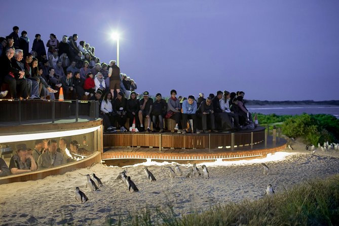 Phillip Island Day Trip from Melbourne with Penguin Plus Viewing Platform - Koala Conservation Reserve: A Guided Walk That Actually Helps You See