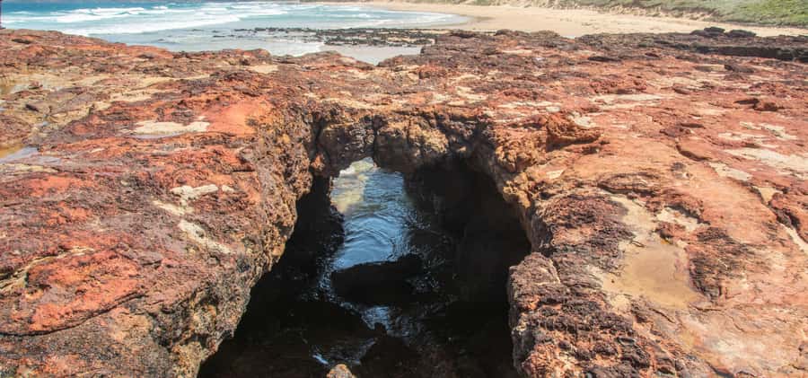 Phillip Island Driving Tour with an APP - Price and value: $14 goes farther than it sounds