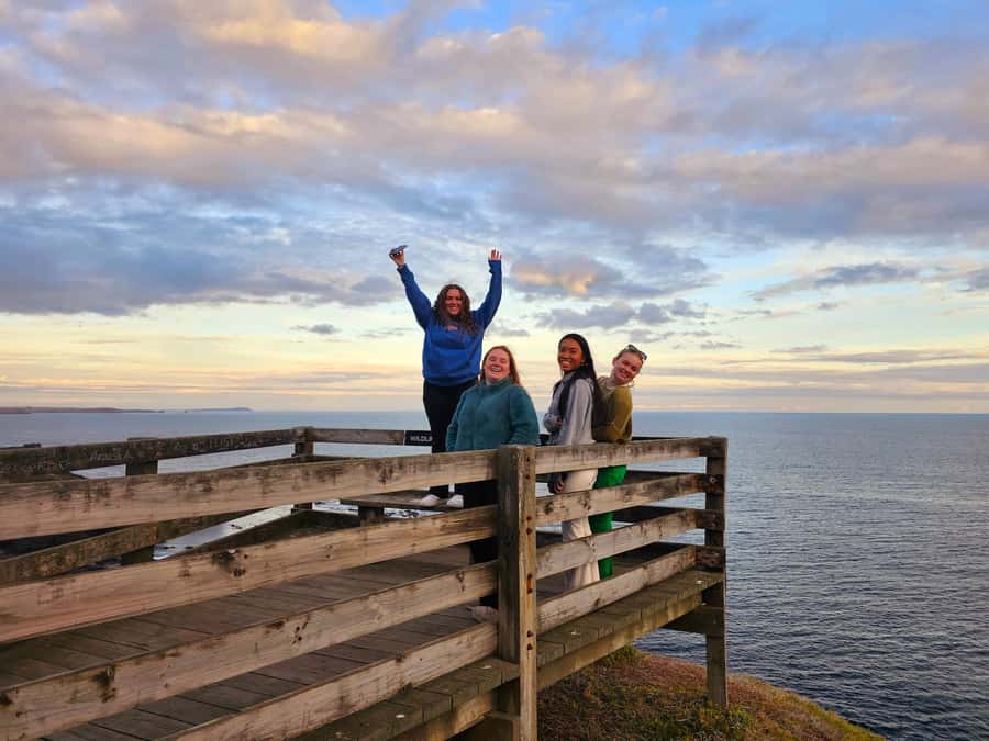Phillip Island: Golden Hour Penguin Express Tour - Price and what your $92 is really buying