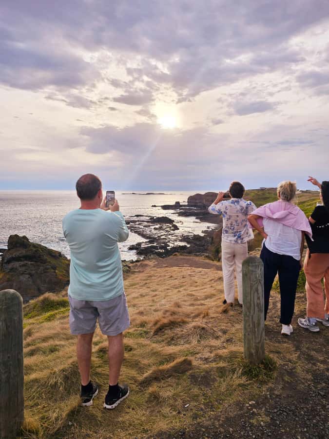 Phillip Island: Golden Hour Penguin Express Tour - The Nobbies golden hour boardwalk and Seal Rocks fur seals