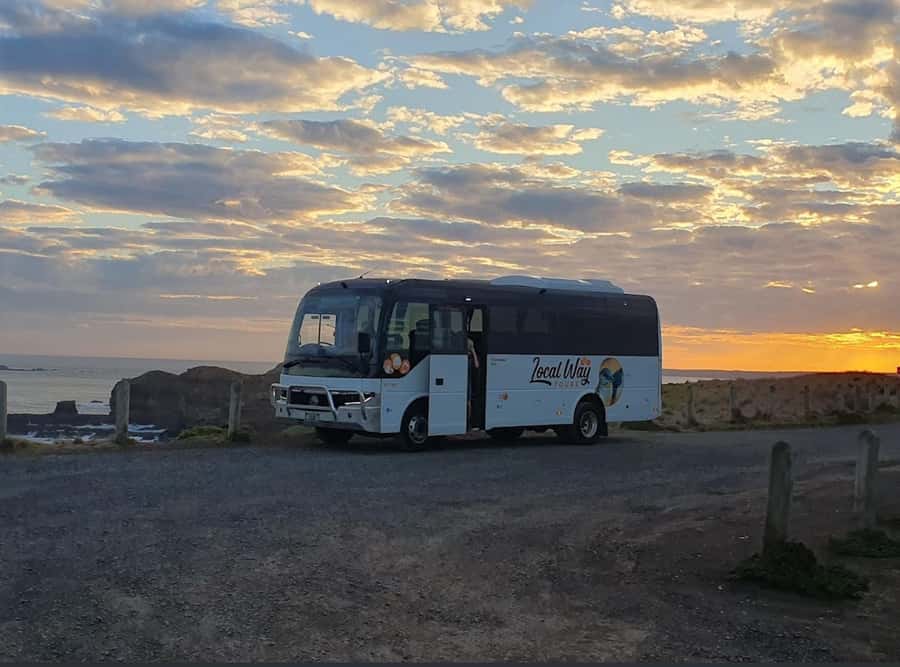 Phillip Island: Golden Hour Penguin Express Tour - Who this Penguin Express tour is best for